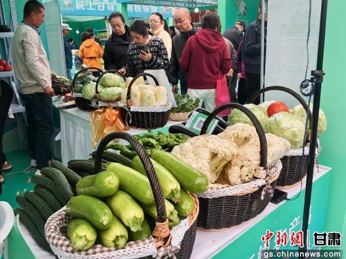 暮秋蘭州甘味濃，張掖有機農產品展銷會圈粉金城苗木