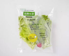 蘇州松下新植物工廠蔬菜正式出貨，科技農(nóng)業(yè)開(kāi)啟綠色新篇章